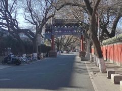 -北京国子监胡同
