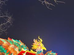 -武汉园博园(武汉自然博物馆)