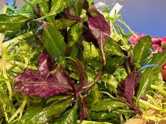 -贵厨酸汤牛肉(花果园国际中心店)
