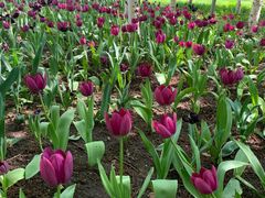 -长春公园(普阳街道)