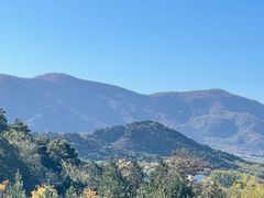 -阳台山自然风景区