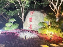 -野狸岛