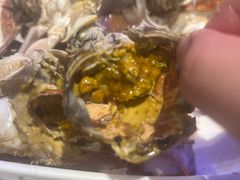 -半岛听涛蒸汽海鲜自助(K11店)
