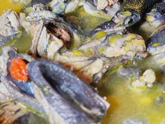 -Darling Queen·Mini·Live·House