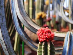 -南通洲际绿博园