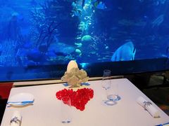 -迪拜帆船酒店海底餐厅