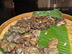 -源·咖啡自助餐厅·海鲜·烧烤·三文鱼(海口华彩洲际酒店)