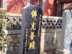 -泰山风景名胜区-普照寺