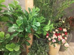 -唐沫茶兮(仓山万达金街店)