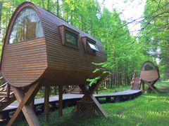 -黄海国家森林公园