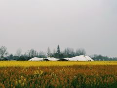 -中国天府农业博览园