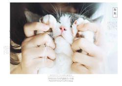 点击看大图 -ZOO KIDS象集摄影工作室(西城公馆店)