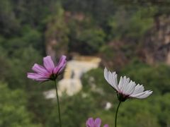 -茅兰沟国家森林公园