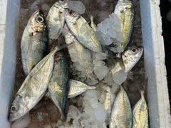 -海峡水产品交易中心(海鲜交易区)