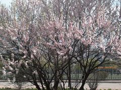 20110427023-上海怡沁园度假酒店