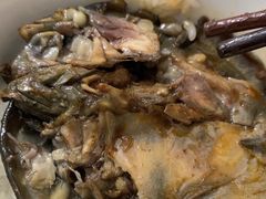 -龙小海荆沙鸽子店(瑞安街店)