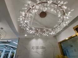 -潘多拉Hairsalon