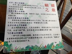 -上海大自然野生昆虫馆(东方明珠·爬宠昆虫探索中心)