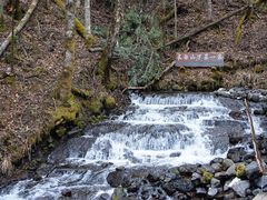 -峡谷浮石林景区