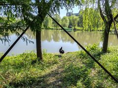 -华东政法大学(松江校区)