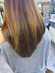 -藤野造型
