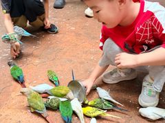 -正佳雨林生态植物园