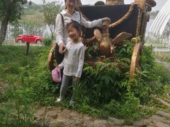 -大塘金香草谷