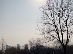 -泰丰公园