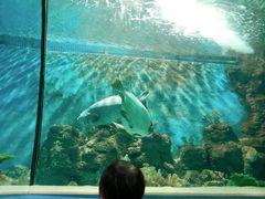 -苏州海洋馆