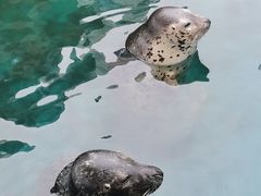 -华夏文旅海洋公园