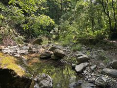 -黄椅山火山森林公园