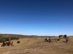 -塞罕坝国家级自然保护区