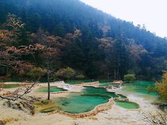 -黄龙山原始森林景区