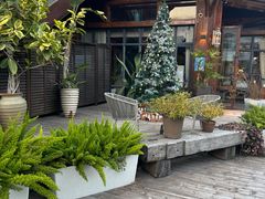 -一棵树·意大利西餐厅One Tree(新城店)