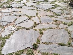 -西安浐灞国家湿地公园