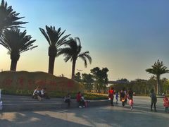 -宝安西湾红树林湿地公园