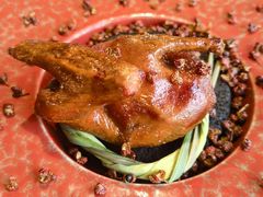 -南堂馆·新川菜(春熙路店)