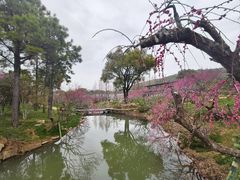 -无锡梅园公园