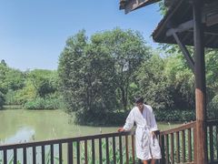 -西湖游船