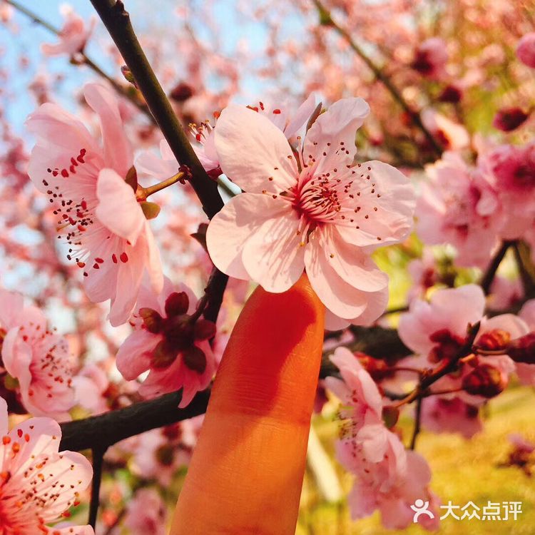 选一种姿态，让自己活得无可替代