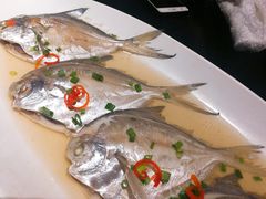 -天宁凯利时尚餐厅