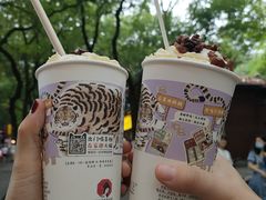 -茶颜悦色(岳麓山顶店)