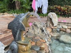 -龙佳生态温泉山庄
