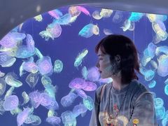 -太平洋海底世界