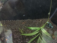 -上海大自然野生昆虫馆