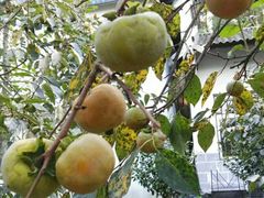 -武汉世外桃源农庄