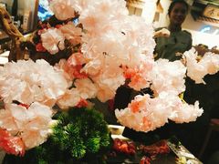 -樱宿日式和牛烧肉(五道口店)