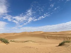 -迎宾楼(解放西街店)