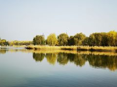 -西海子公园
