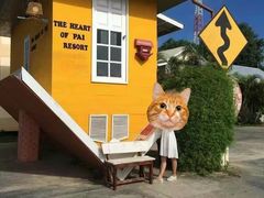 -倒立小屋